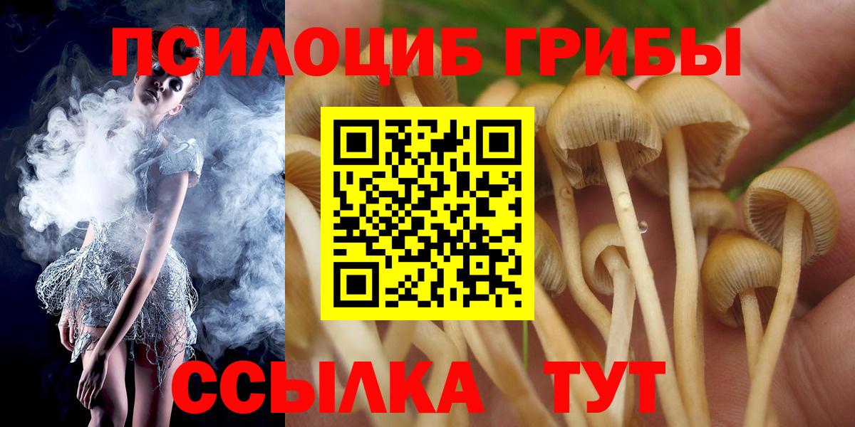 Псилоцибиновые грибы Magic Shrooms Анжеро-Судженск