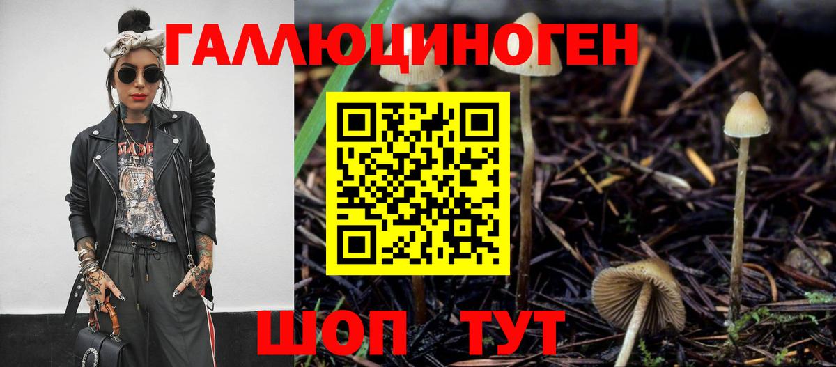 Псилоцибиновые грибы Cubensis  Вход с VPN  Анжеро-Судженск 